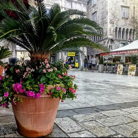Ante Apartamento *